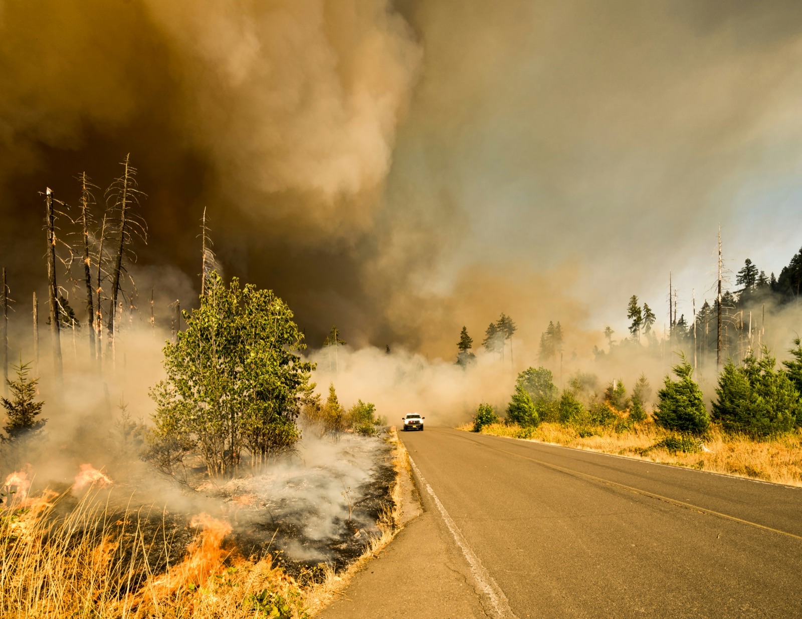 A white pickup truck driving on a road through a forest fire